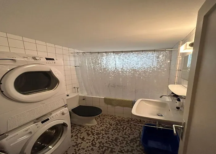 In With Mountain Views 샬레 베이소나츠